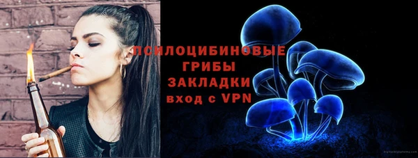 амф Абинск